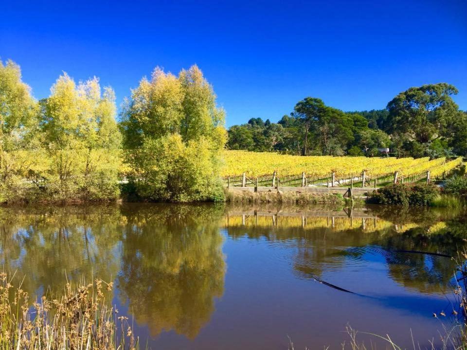 Gisborne Peak Winery Short Term Stays Buitenkant foto