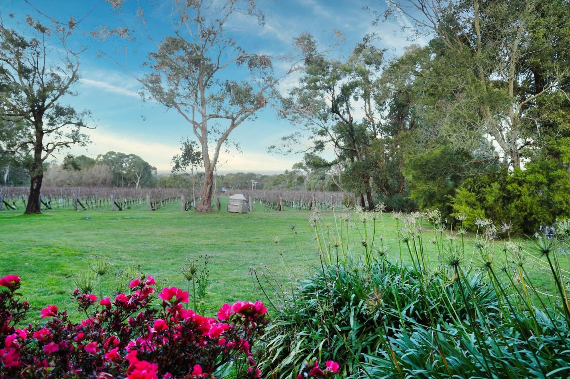 Gisborne Peak Winery Short Term Stays Buitenkant foto